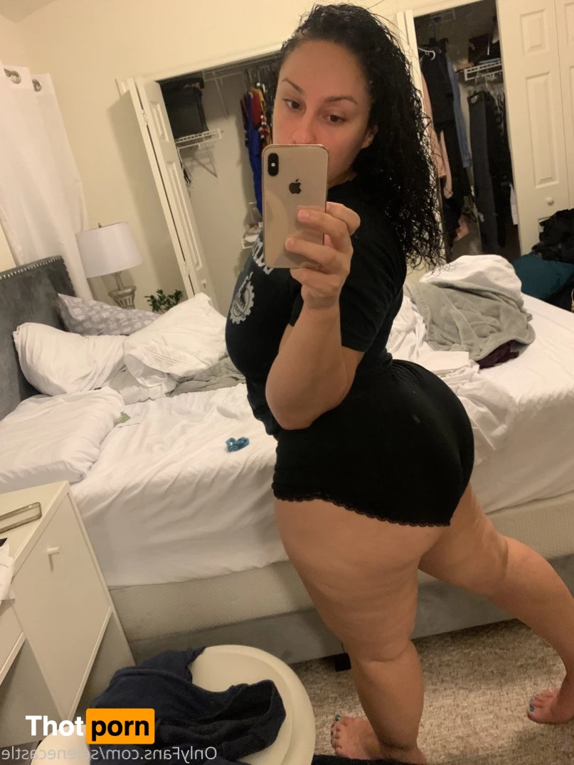 Selene Castle 1074448