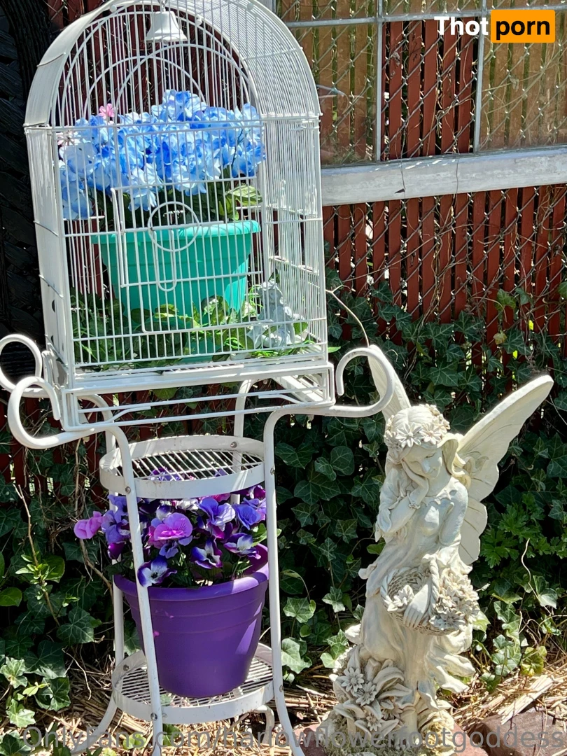 harlowflowerfootgoddess 16577064