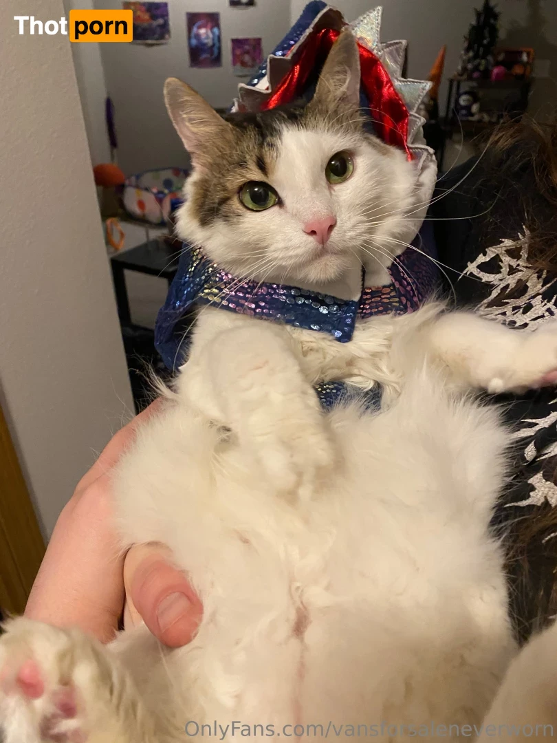 vansforsaleneverworn 16580597