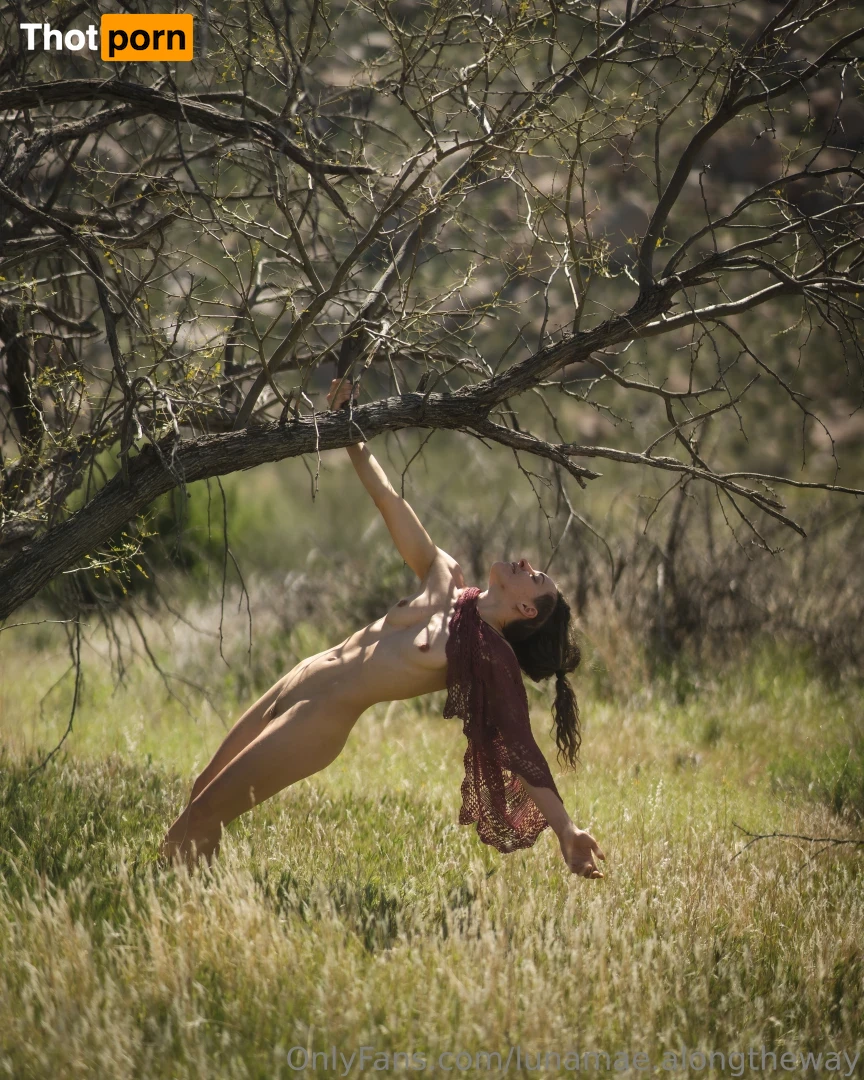 lunamae.alongtheway 16583501