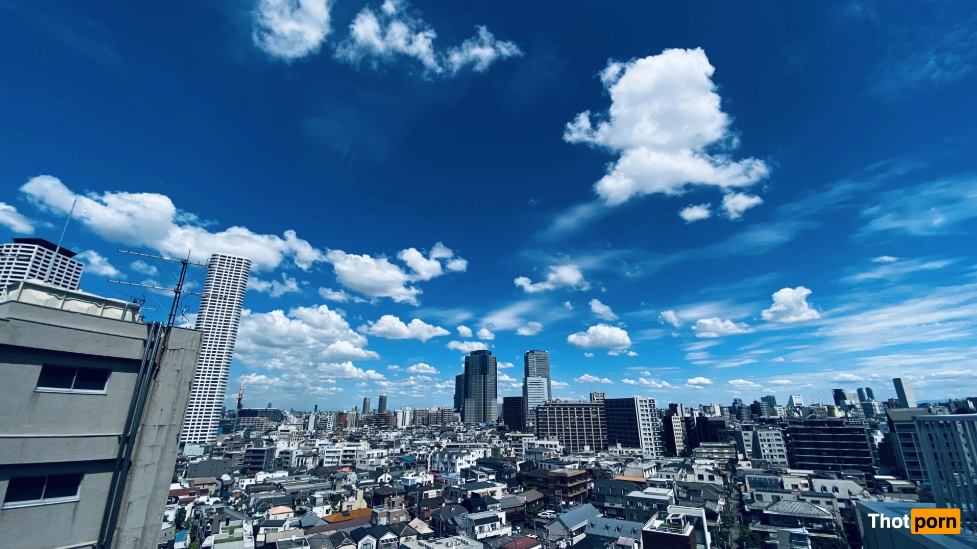 shiina sora. 1089539