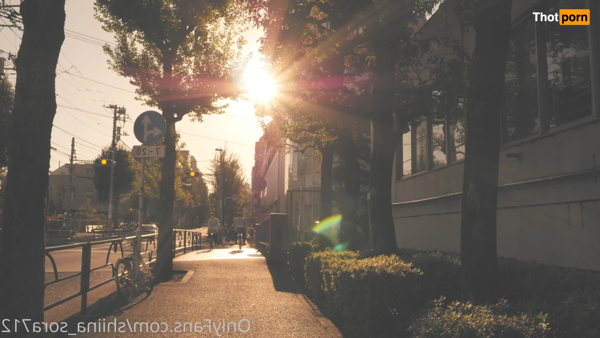 shiina sora. 4431565