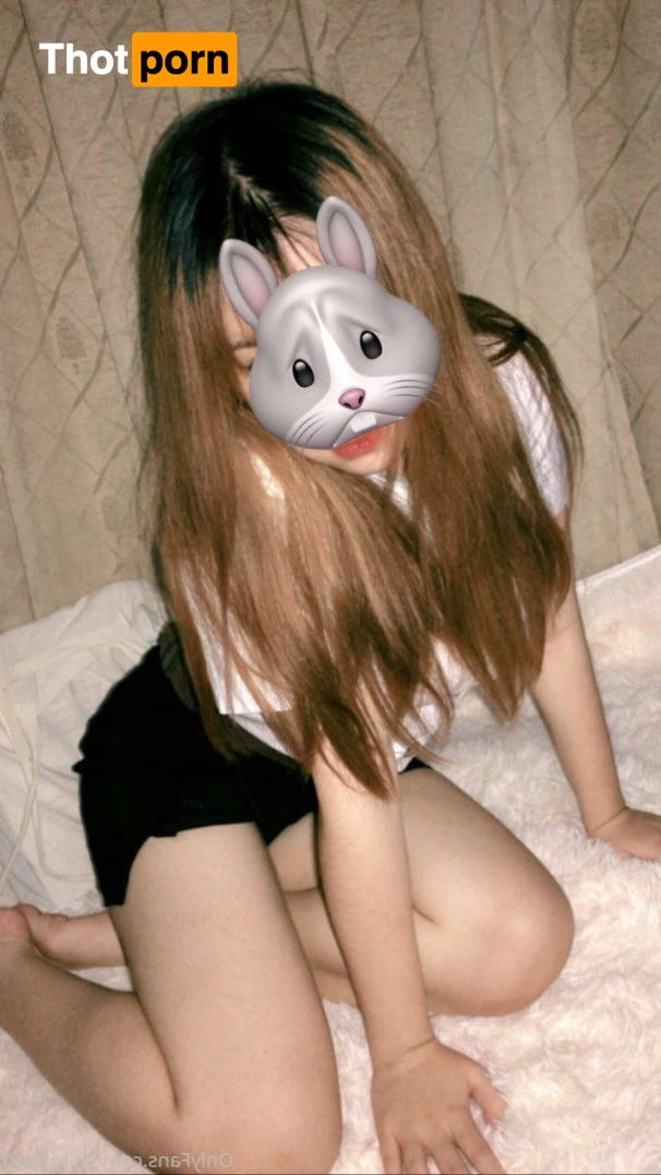 Shiroissad (restลด50%) 1090304