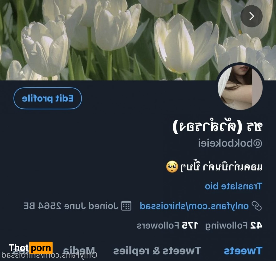 Shiroissad (restลด50%) 1090311