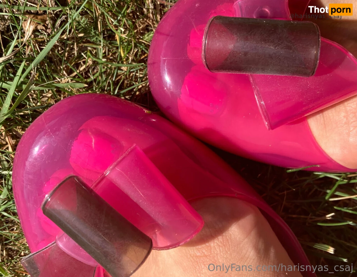 harisnyas_csaj 16584748