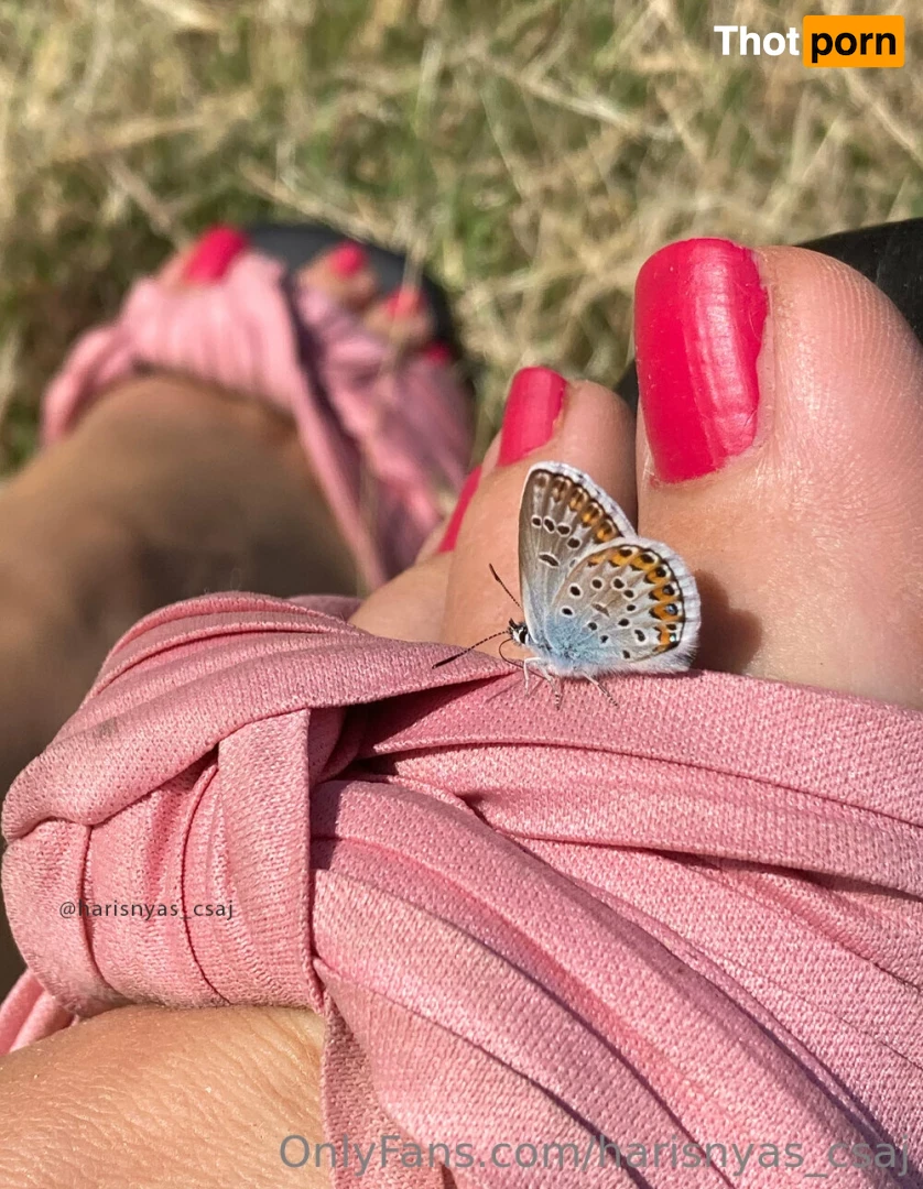 harisnyas_csaj 16584832