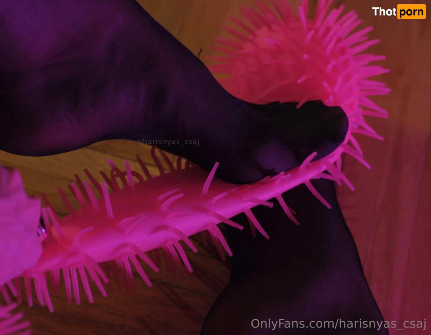 harisnyas_csaj 16585013