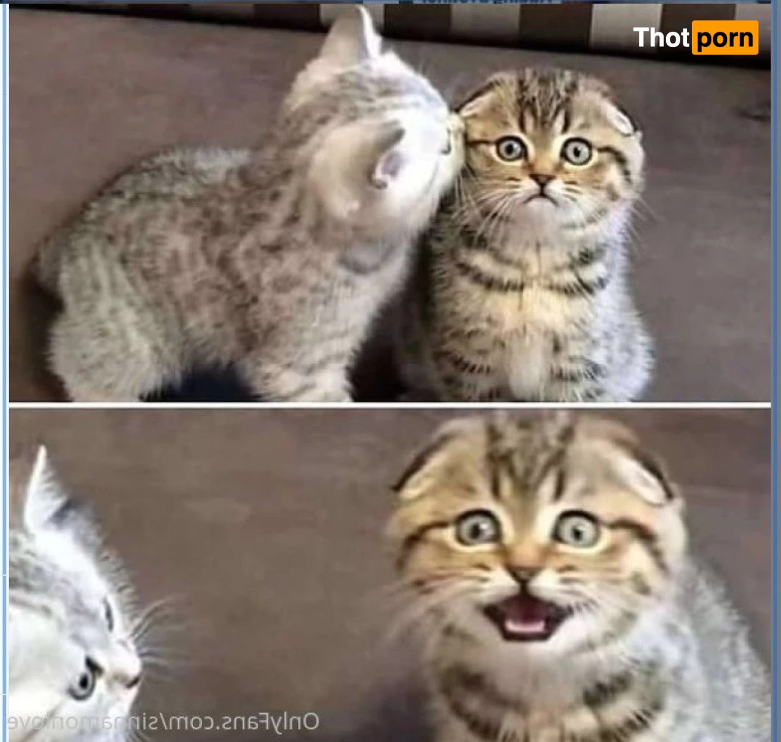 Sinnamon Love 1095770