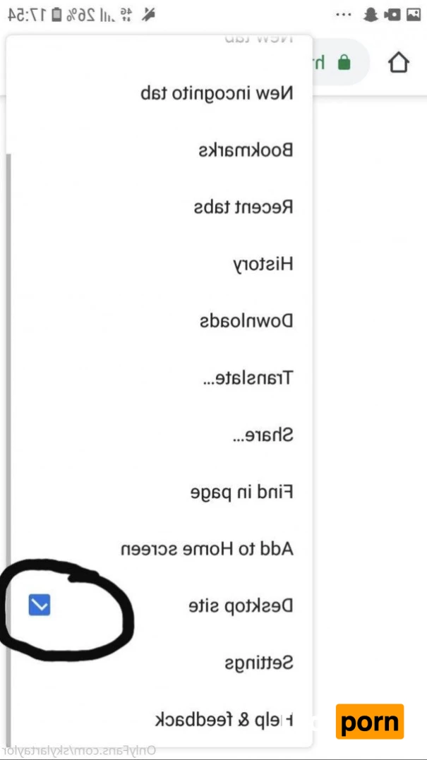 Skylar Taylor 1096961