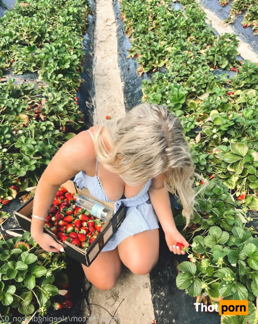 Sleeping Dragon 1097622