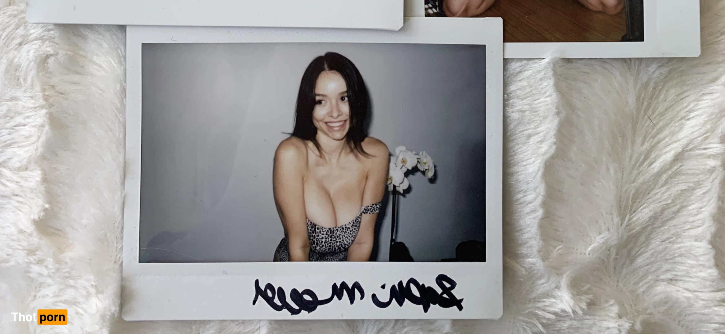 Sophie Rose 11881658