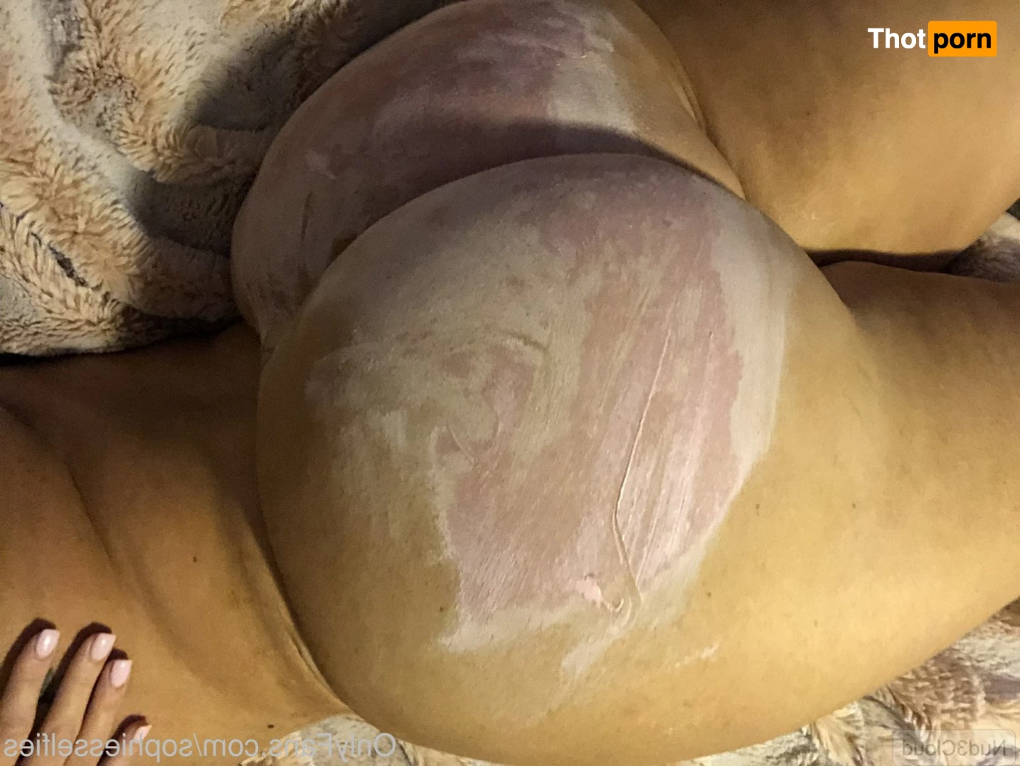 Sophie the Body 1106189