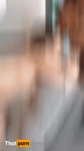 11317565