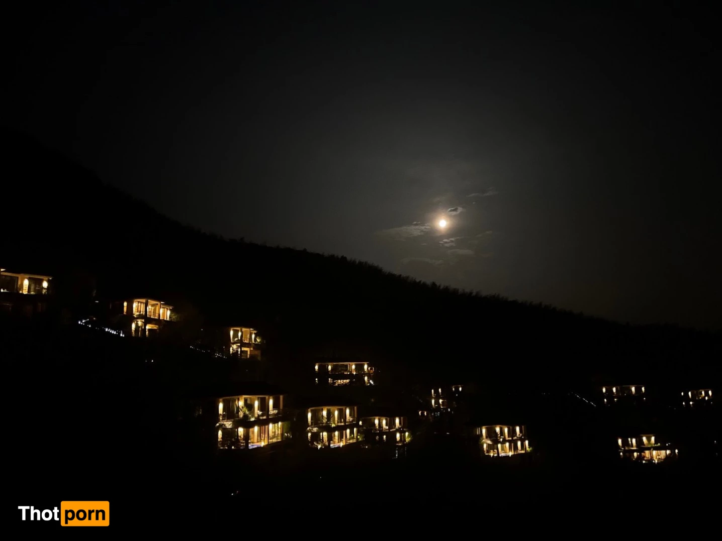 Princess niko 1143444