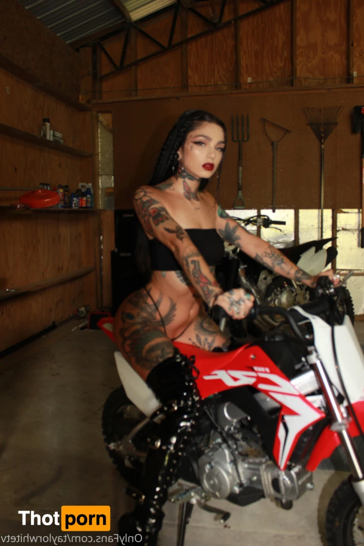 Taylor white 9640117