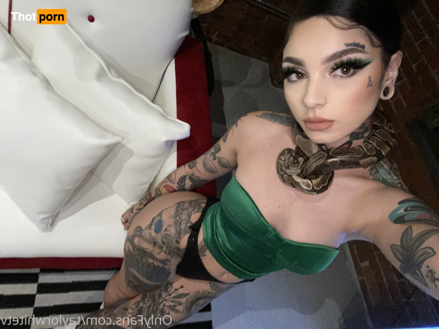 Taylor white 9640359