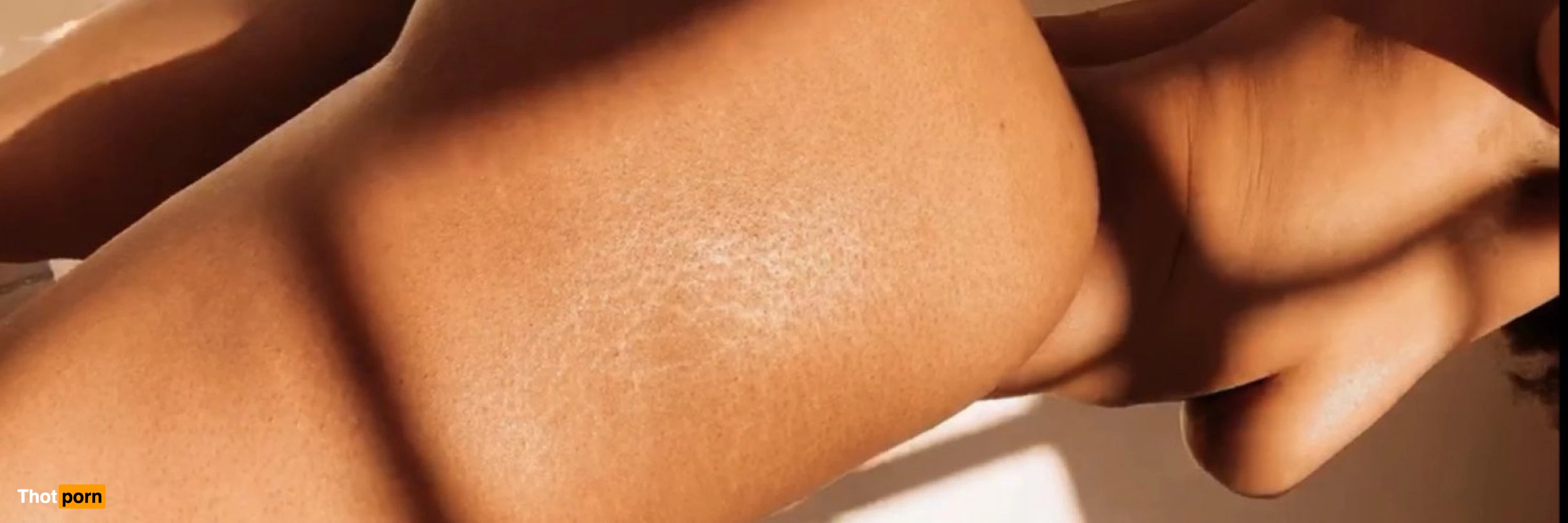 thesparklysun 1186678