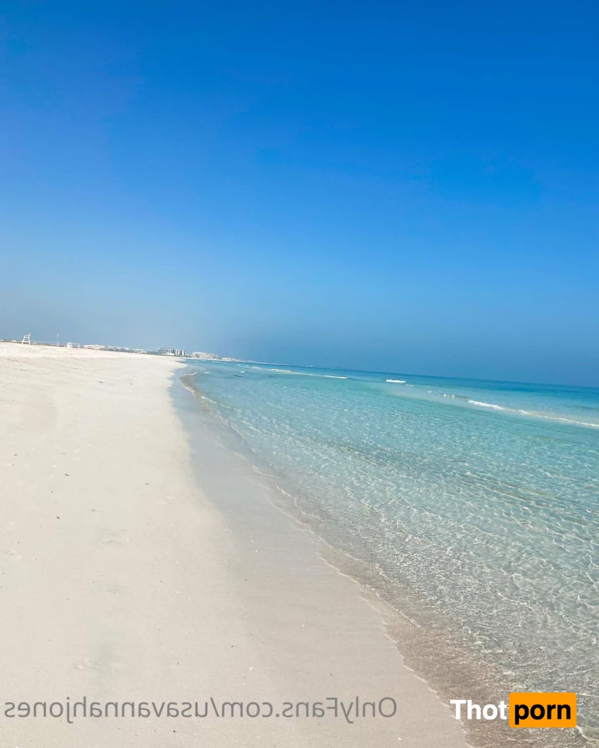 Savannah 🐰 6210983