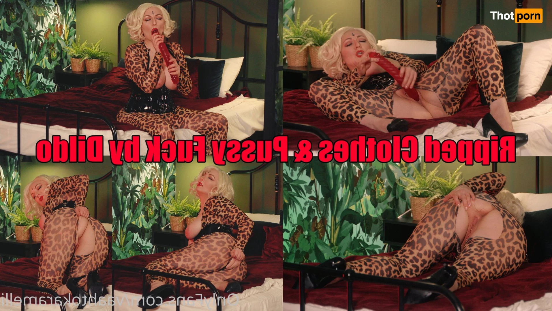 ARYA❤️I LOVE SEXTING❤️JOI FaceSit Queen 4133029