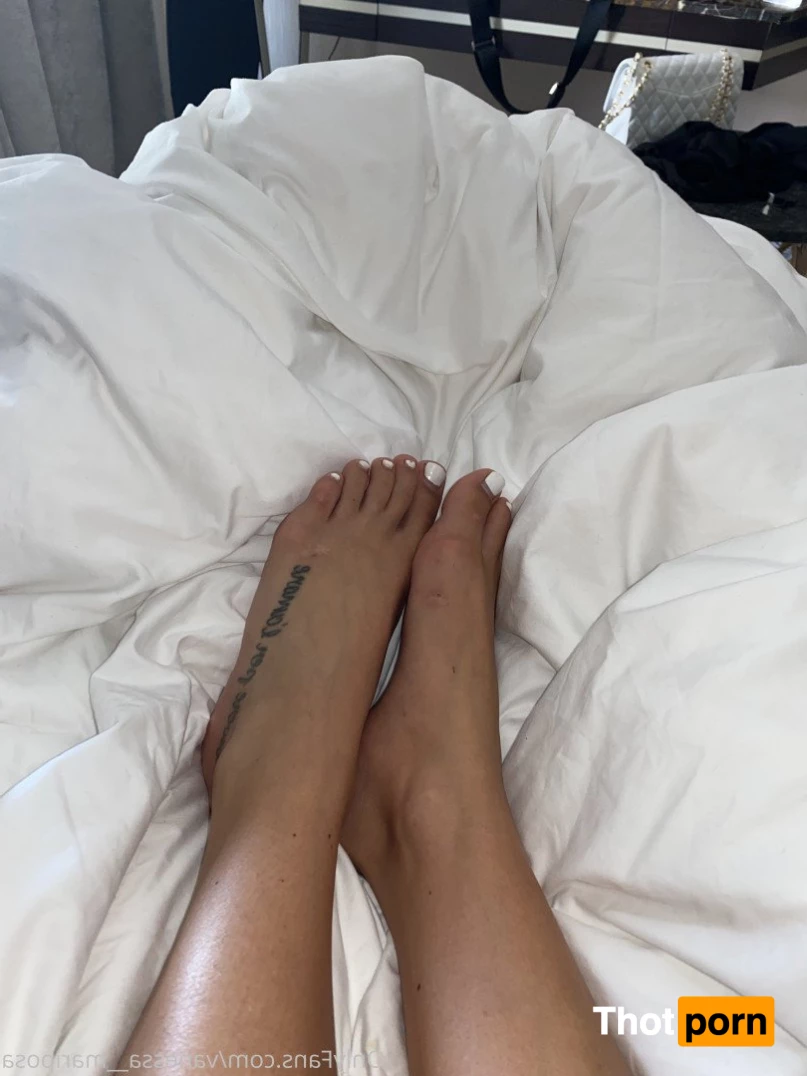 Vanessa Mariposa 1208680