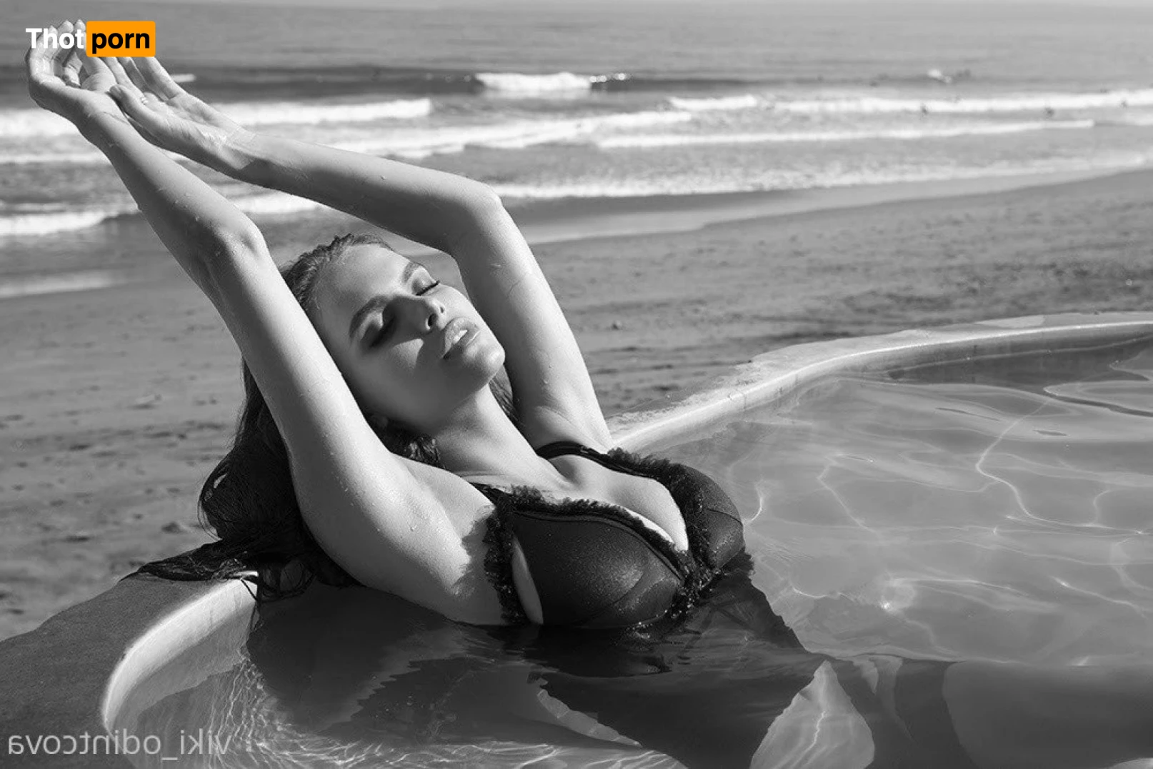 VIKI ODINTCOVA 1224371