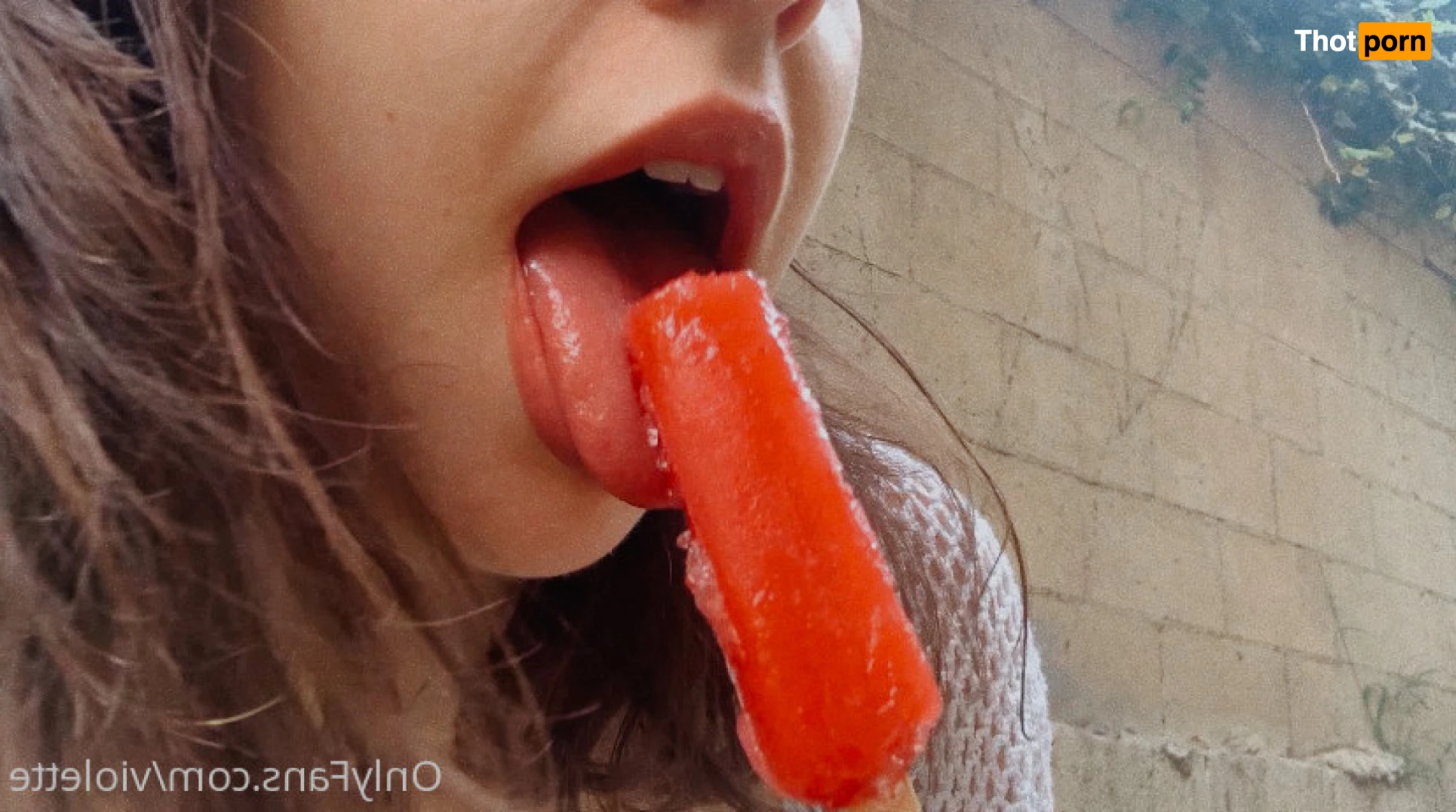 Princess Violette 15794774