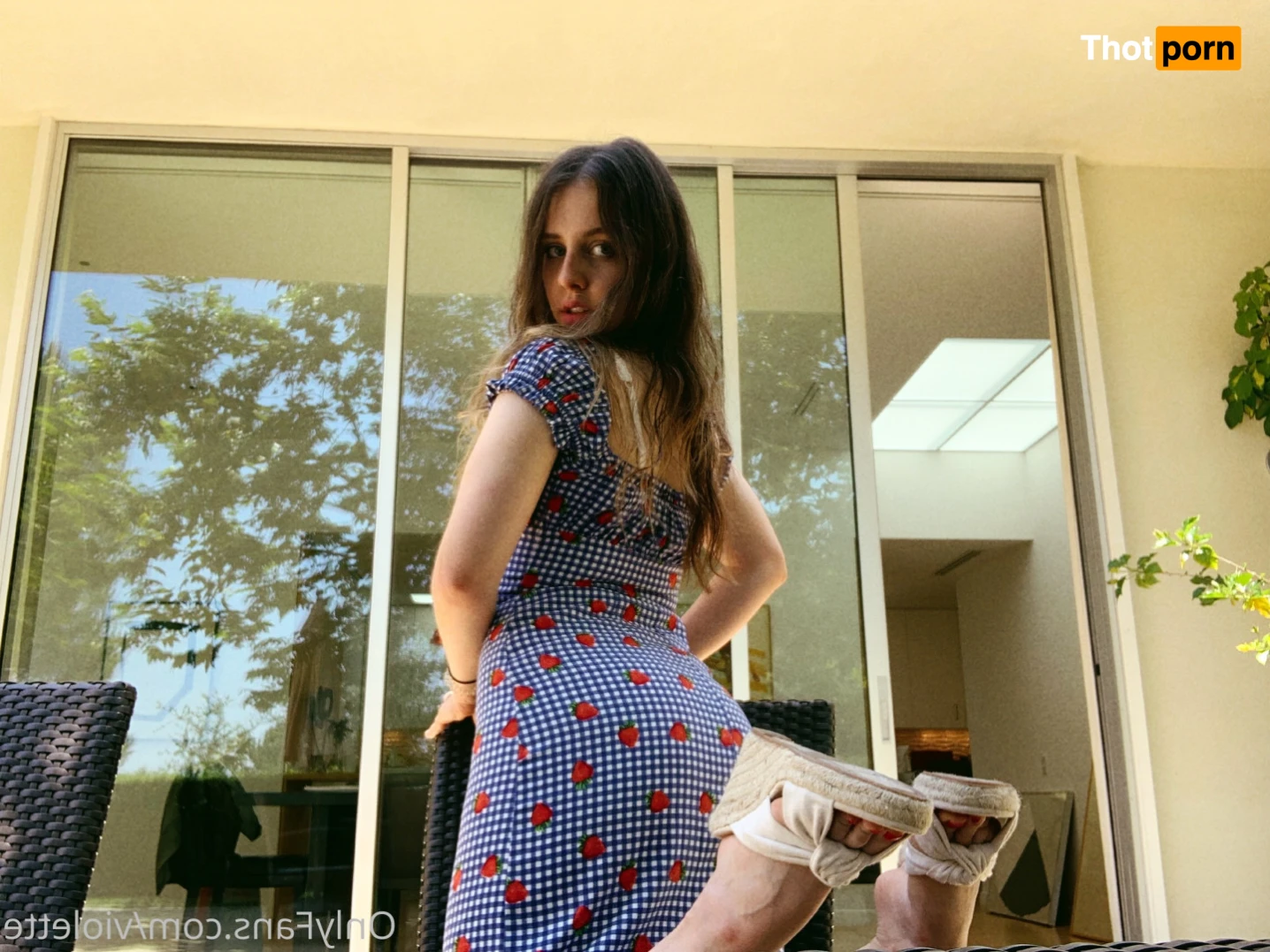 Princess Violette 15796503