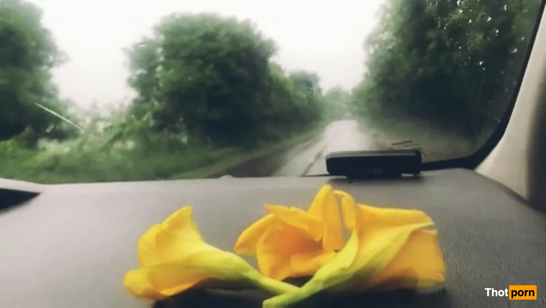 Arpa Roy🇧🇩🇵🇱 1529026