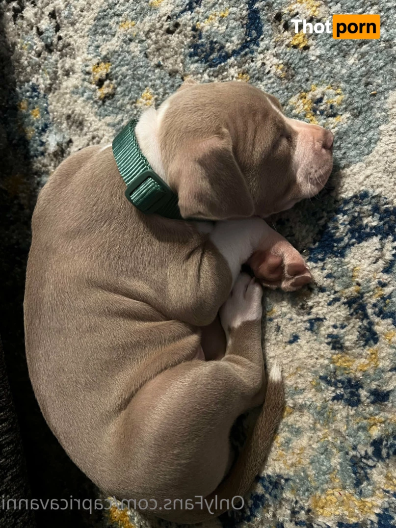 Capri Cavanni 6185310