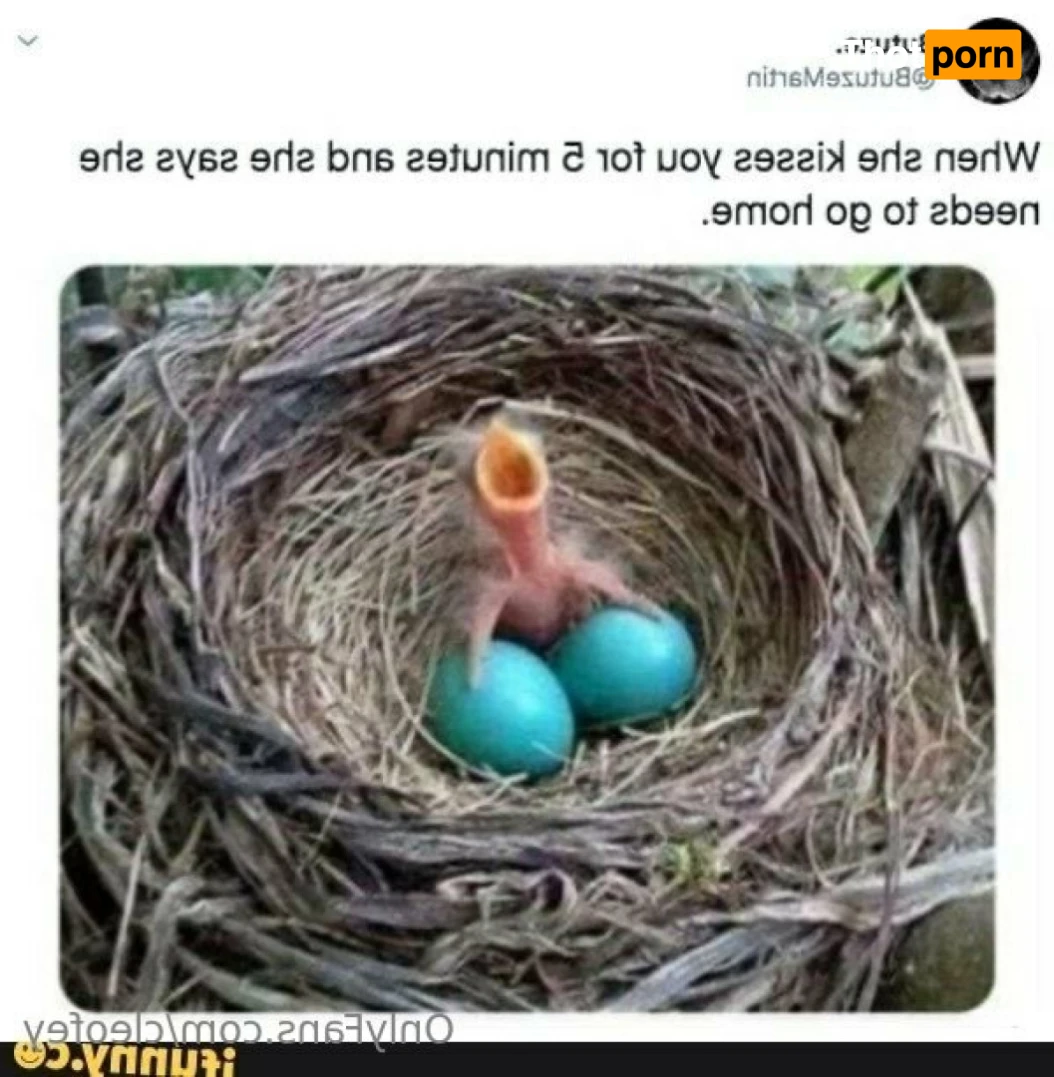 Aussie girlfriend 12277637