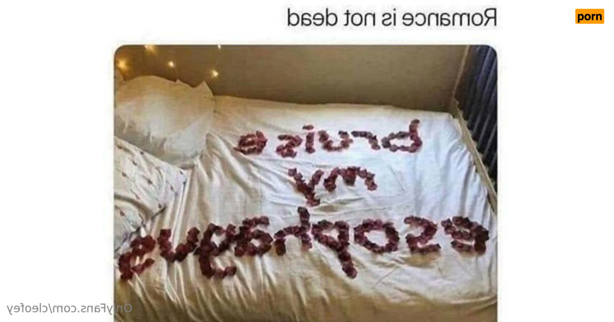 Aussie girlfriend 12278363