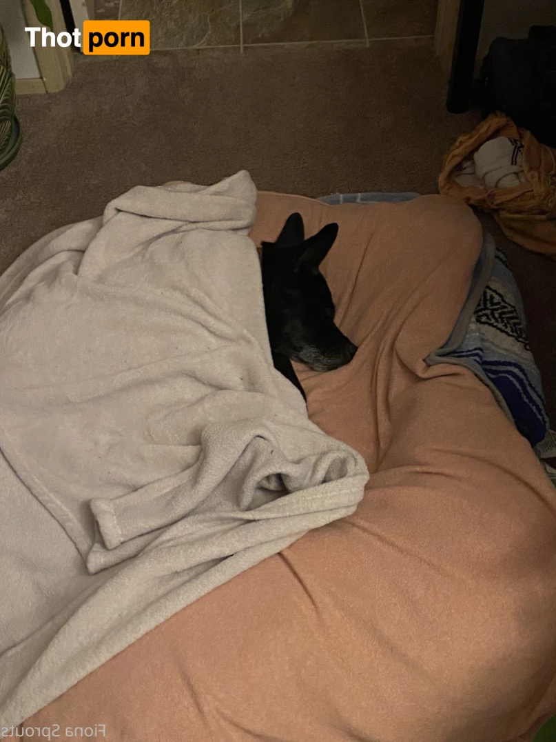 Fiona Sprouts 🌱(they/him) not a girl 6166284