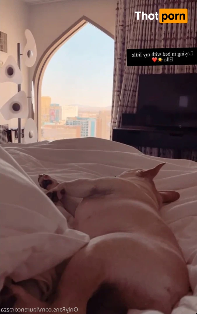 🦋Lauren Corazza🦋 15581319