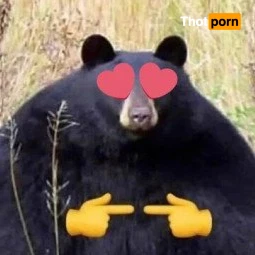 JB, the Jawbreaker Bear