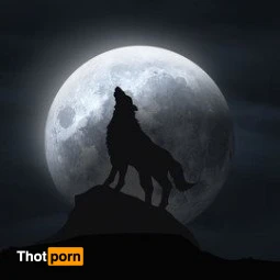 Little Moon Wolf