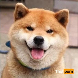 bkkexpert feat. onlyfans