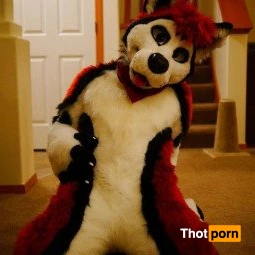 Cenny After Bark 💄