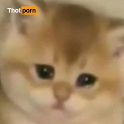 𝓑𝓲𝓽𝓪 bye bye