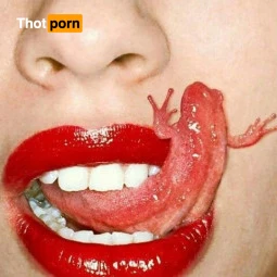 Desnudando tus desnudos